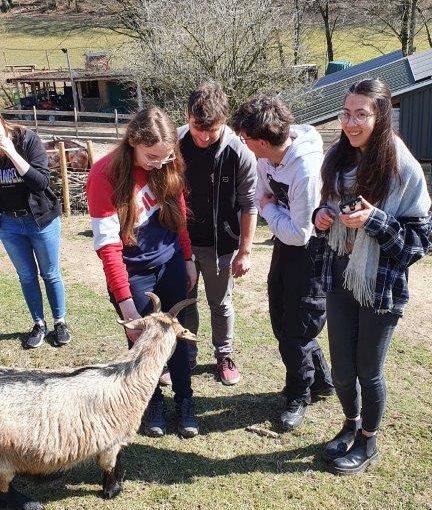 Tiergestützte Pädagogik – Besuch des Hof Heinbach